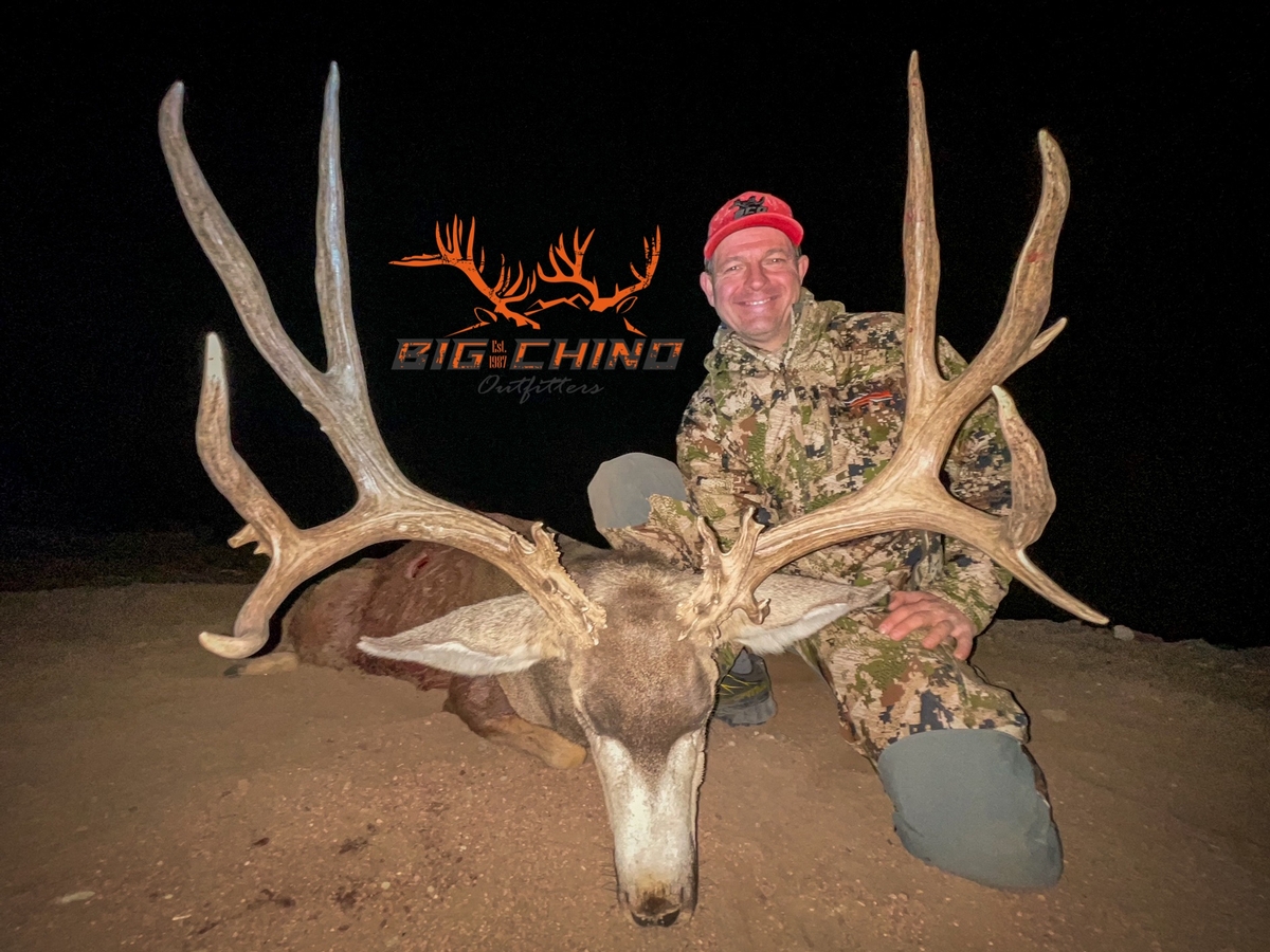 Over The Counter Archery Mule Deer Hunts Arizona